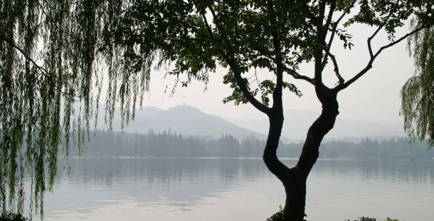 Mi lamento, dunque siamo