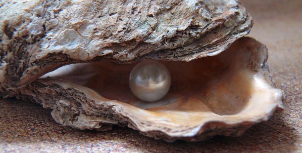 Presto di mattina. L'umanità in tempi bui