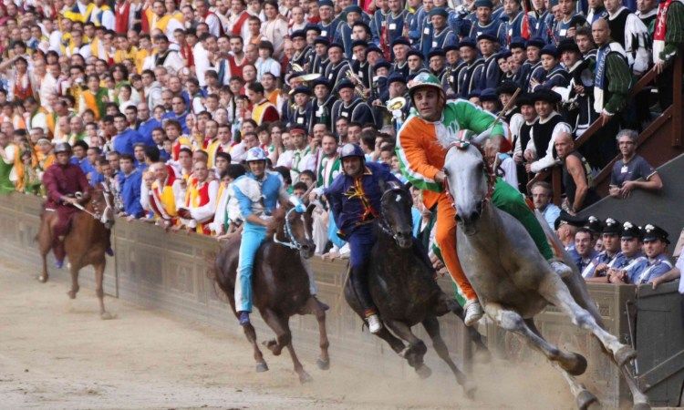 palio ferrara cavalli
