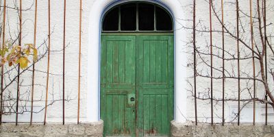 Le storie di Costanza. Alla caccia della volpe verde. Il civico 21