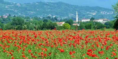 Lettera: a Colceresa (Vicenza) un fabbricone minaccia la nostra acqua e l'ambiente