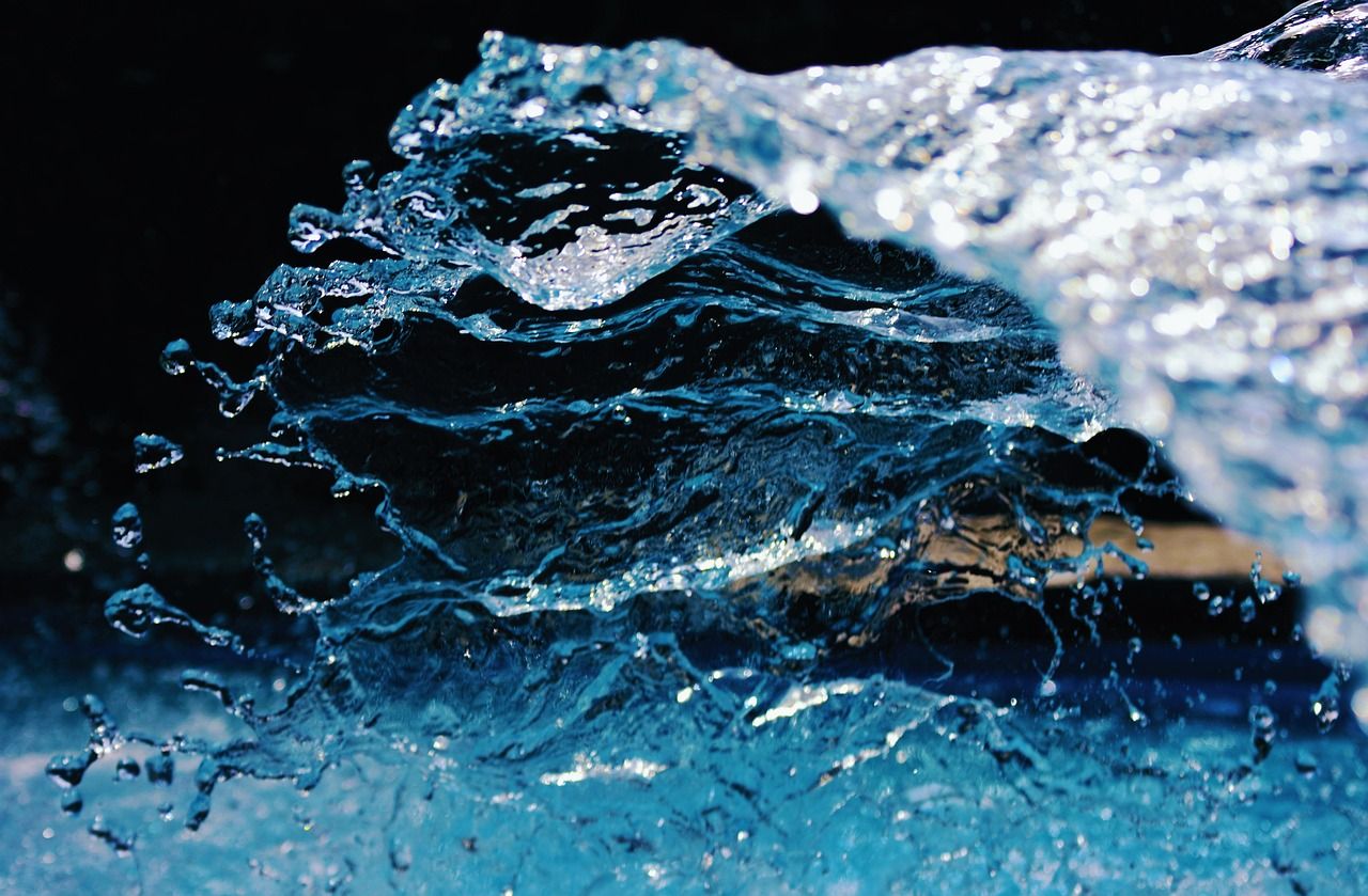 Per certi Versi / Tra carne e immagine