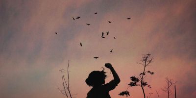 L’ho chiesto alla luna