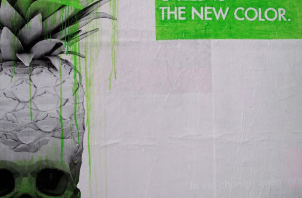 Lasciamo stare la legge della giungla: è l'avidità umana a governare il mondo