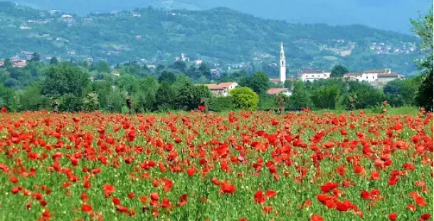 Lettera: a Colceresa (Vicenza) un fabbricone minaccia la nostra acqua e l'ambiente