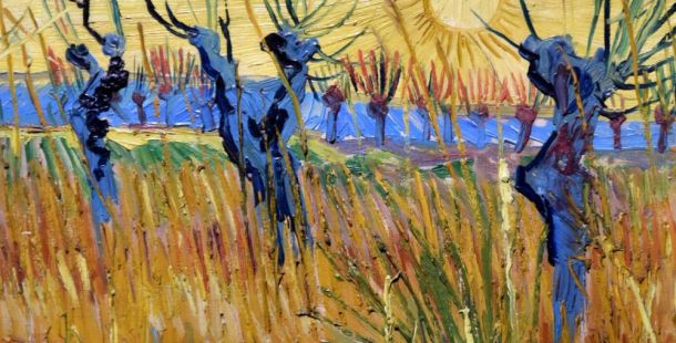 Van Gogh alberi
