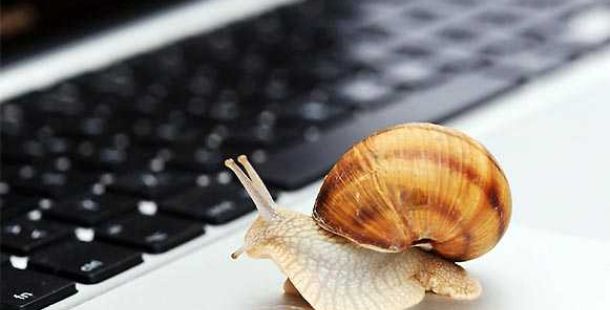 slow-web