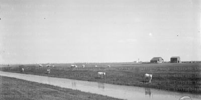 La montagna di Onorato