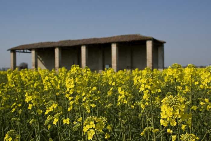 Vecchio fienile in aperta campagna