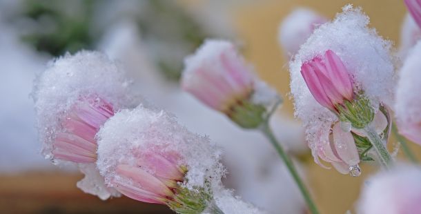 grande neve pasqua presto mattina