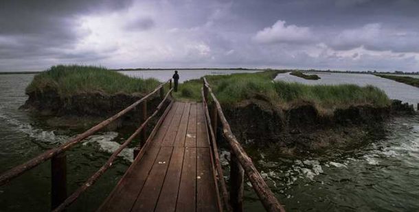 comacchio-valle-campo-delta-po-luca-zampini