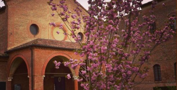 sant'antonio-in-polesine-chiostro-ciliegio-fiorito-instagram-myferrara