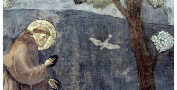 creato-preoccupazione-speranza
