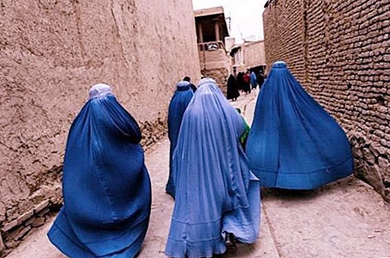 nadiya anzhuman donne