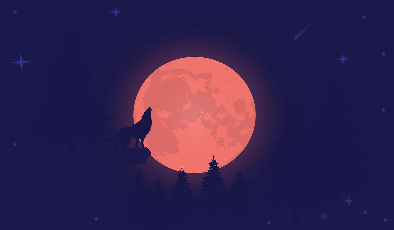 Per certi Versi / Il verso del lupo