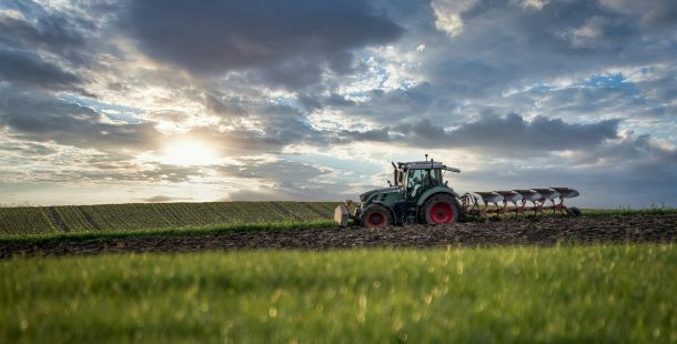 Presto di mattina. La nuvola e l'aratro