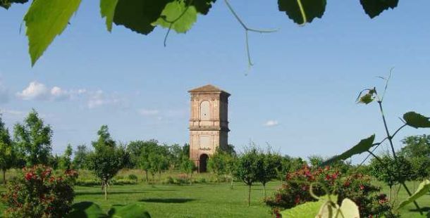 manutenzione-giardini-considerazioni