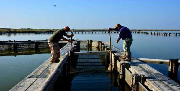 sagra-anguilla-comacchio-fotoclub-evelin-pasetti