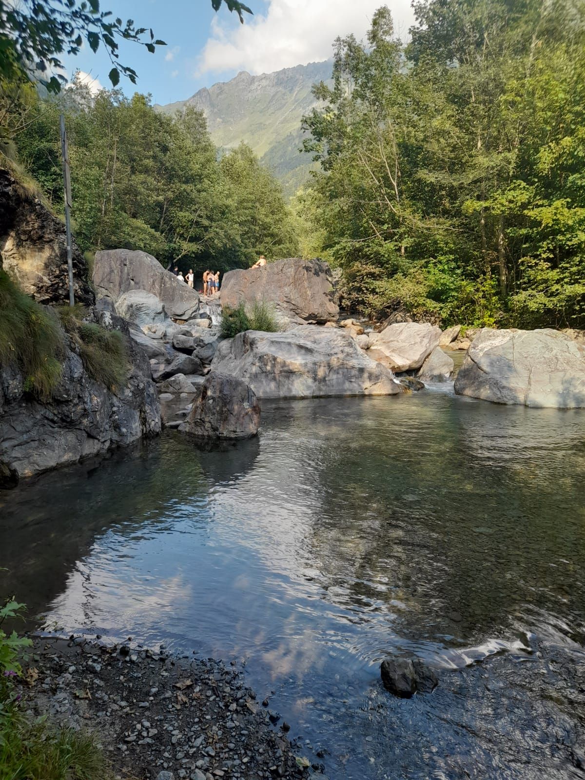 viaggio in italia. l'associazione calimero