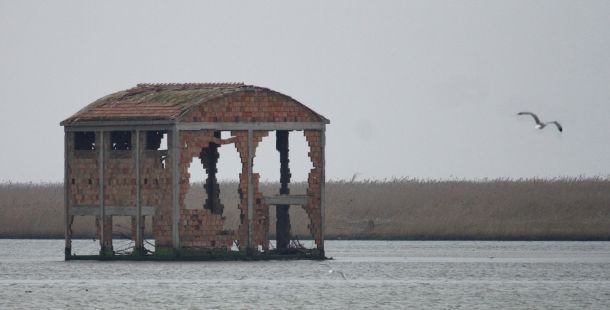 Il mio Delta