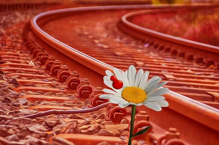 il treno di margherita binario