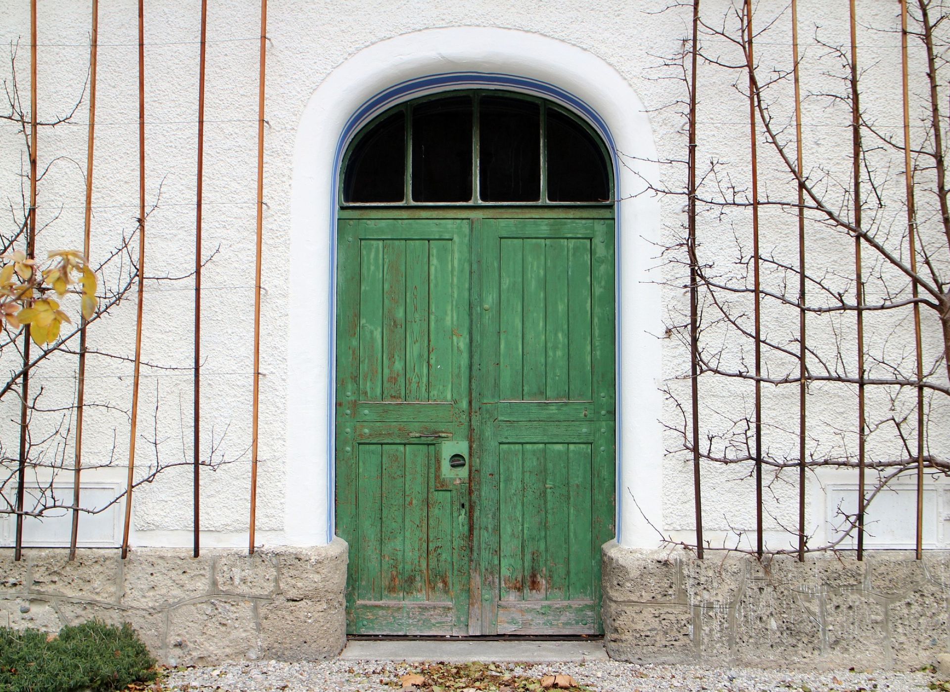 Le storie di Costanza. Alla caccia della volpe verde. Il civico 21