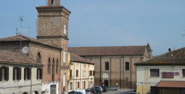 sagra-anitra-stellata