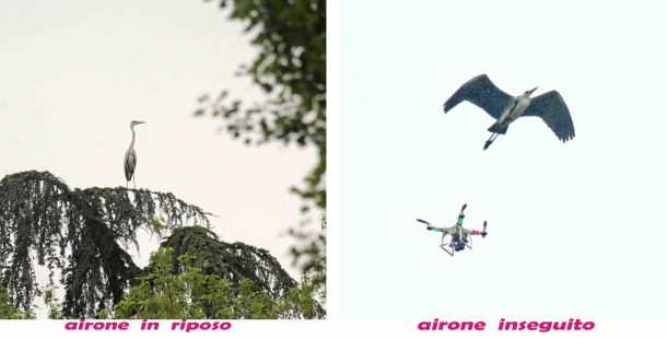 aironi