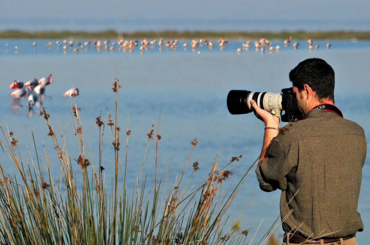 birdwatching-fotografia
