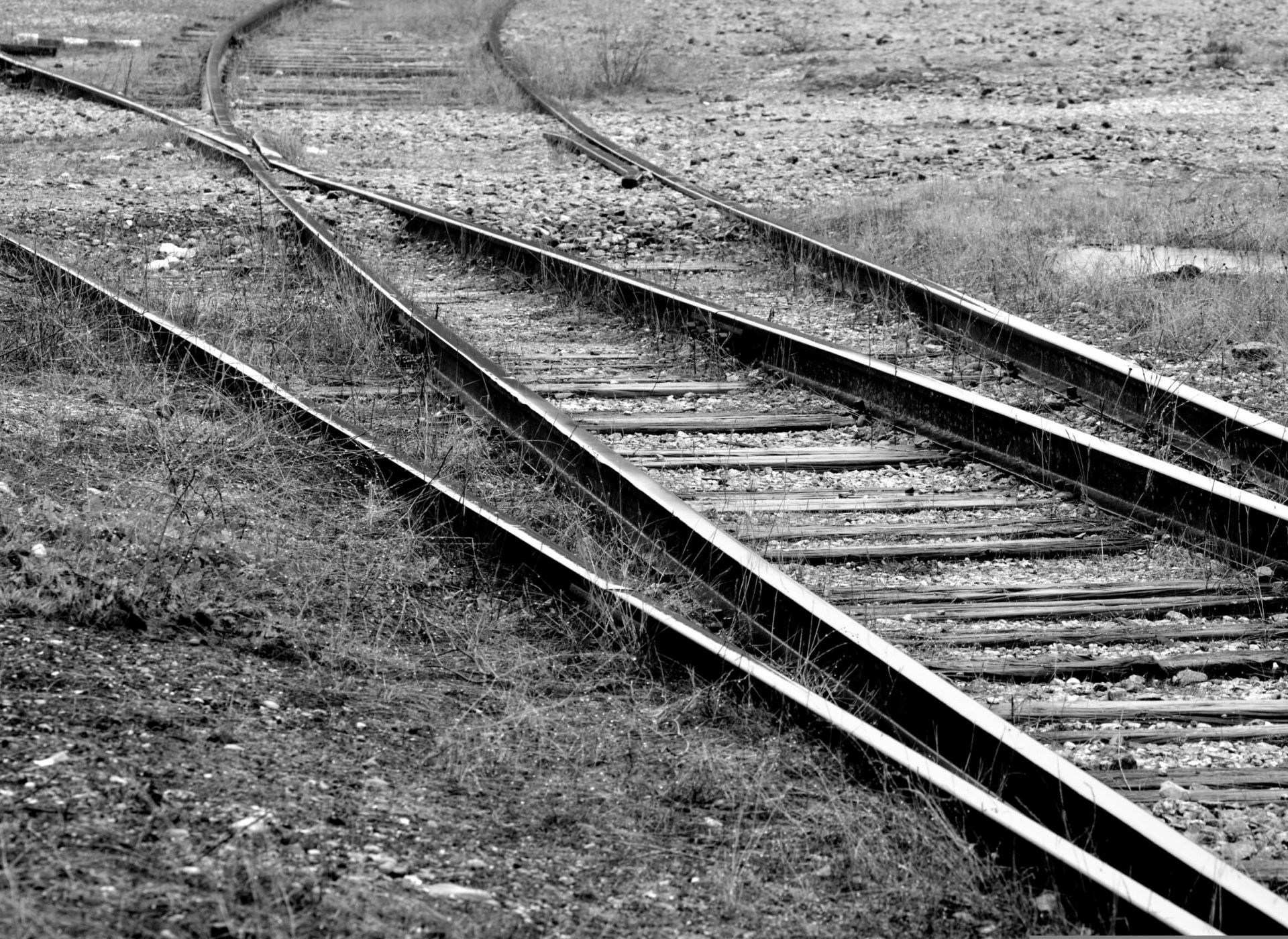 Coltivo con cura il dubbio