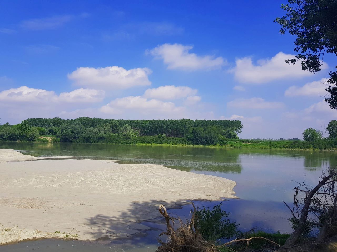 Lezioni dalle rovine. (Io l'ho letto tre volte)