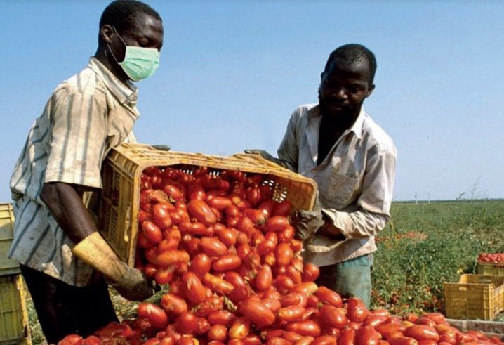 Immigrazione colabrodo, il caso Italia