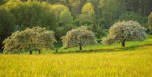 percorsi partecipati senza arroganza
