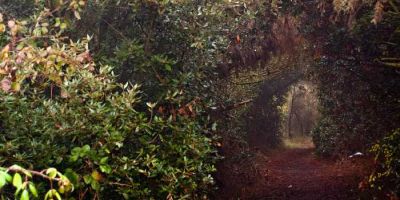 territorio-ferrarese-korakoinè