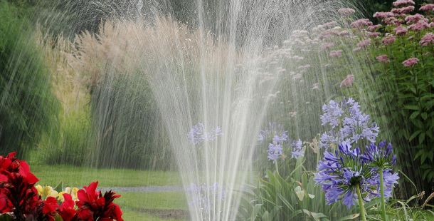 Presto di mattina. Dal deserto al giardino irrigato, l’itineranza della Quaresima