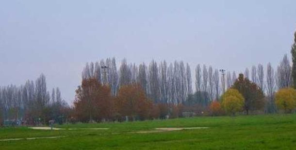 ragionare-da-alberi