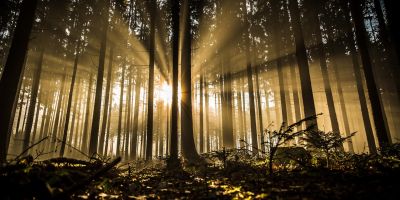 L’egemonia del ribelle. Letteratura, pensiero critico e intelligenza artificiale