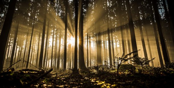 L’egemonia del ribelle. Letteratura, pensiero critico e intelligenza artificiale