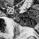 sonno-ragione