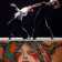 stagione-giapponese-focus-japan