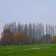 ragionare-da-alberi