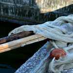 sagra-anguilla-comacchio-fotoclub-evelin-pasetti