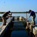 sagra-anguilla-comacchio-fotoclub-evelin-pasetti