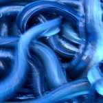 sagra-anguilla-comacchio-fotoclub-evelin-pasetti