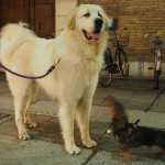 libreria-feltrinelli-ferrara-via-garibaldi-20-anni