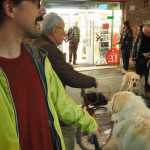 libreria-feltrinelli-ferrara-via-garibaldi-20-anni