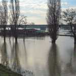 fiume-po-piena-pontelagoscuro-mulino