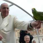 papa-francesco-jorge-mario-bergoglio