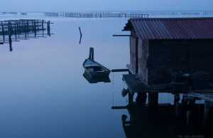 scardovari-delta-del-po-rovigo-luca-zampini