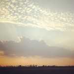 accordi - radio strike - ferrara